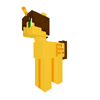 New Pony