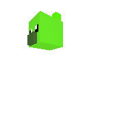 pig