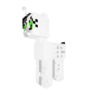 New Pony
