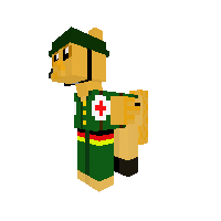German Medic Pony V2