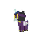 New Pony