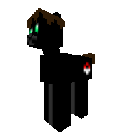 Bob