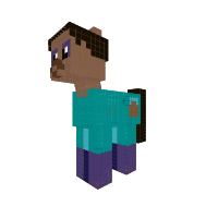 Steve