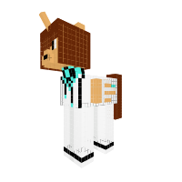 New Pony