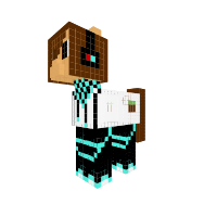 New Pony