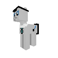 New Pony