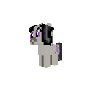 Filly Octavia