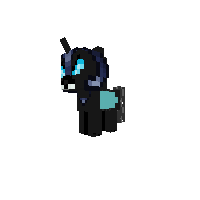 New Pony
