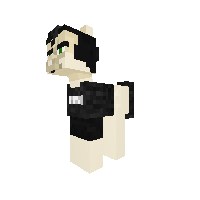 Dan pony