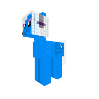 Skype_pony