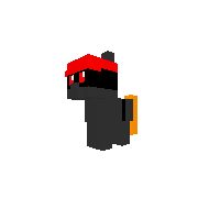 ninja maverick