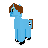 my brother as a pony
