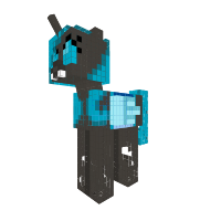 New Pony