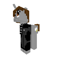 New Pony