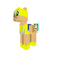 flash sentry