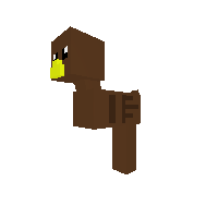 Ostrich