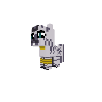 Filly Zecora