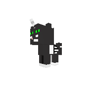 kitty cat