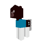 New Pony