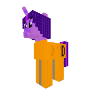 Class D pony personal