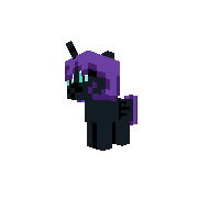 Nyx the foal