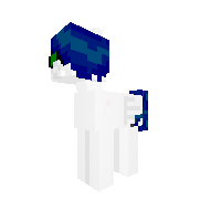 Mr.EnderFly