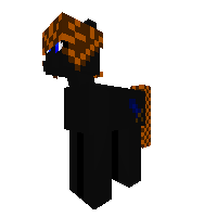 Ninja Pony