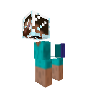 steve