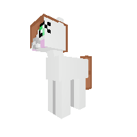 CocoaNutmeg