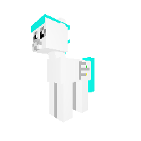 windows   pony