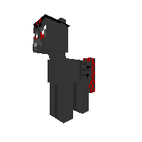 New Pony