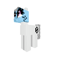 New Pony