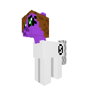 New Pony