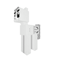 New Pony;f