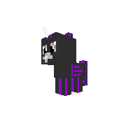 EnderShadow