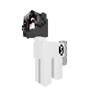 New Pony