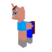 stave   pony