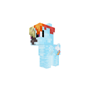 Ranbow DOG