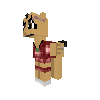 Vaas pony