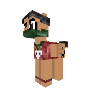 Pirate assaulter
