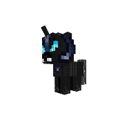 New Pony