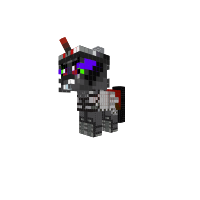New Pony
