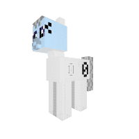 Rarity form 1