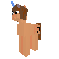 msp pony