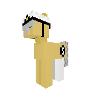 New Pony
