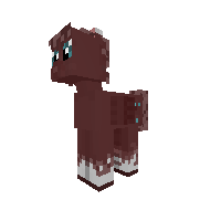 My Pony Skin