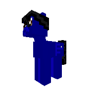 New Pony