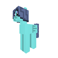 First pony