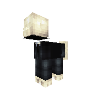 Slender pony