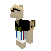 zoomboy666 as a pony